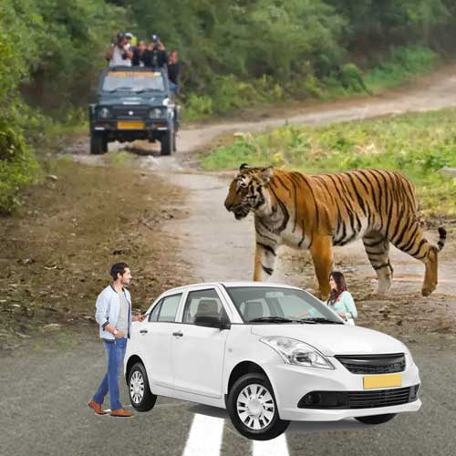 Delhi to Jim-corbett National Park Cab